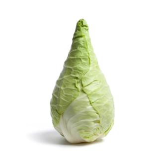 Spitzkohl