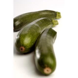 Zucchini