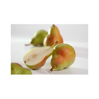 Birne Anjou