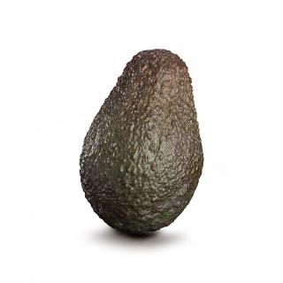 Avocado Hass