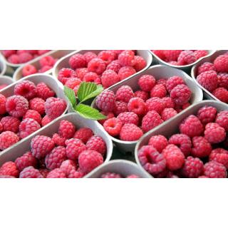 Himbeeren in Schalen