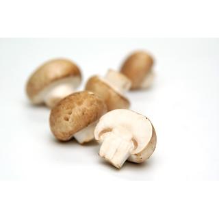 Steinchampignon