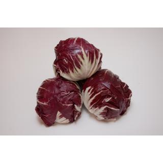 Radicchio