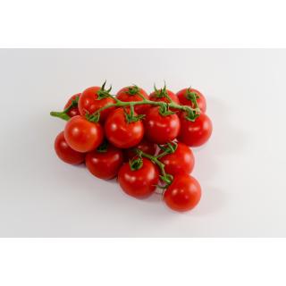 Kirschtomaten am Strauch
