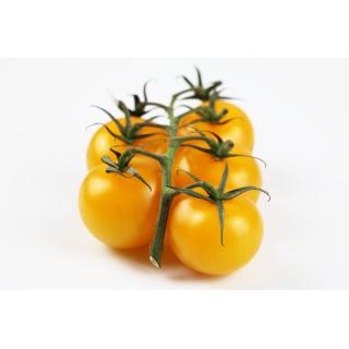 Cocktailstrauchtomaten bunt