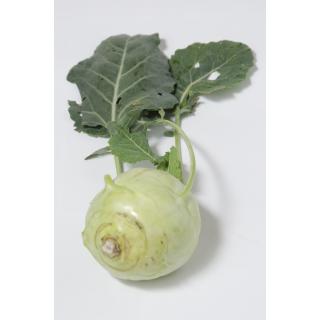 Kohlrabi