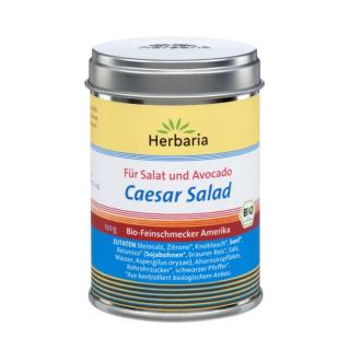 Caesar Salad - Salatgewürz (Dose)
