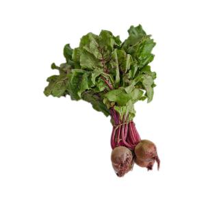 Rote Bete