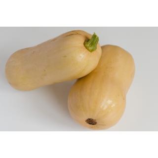 Butternut Kürbis