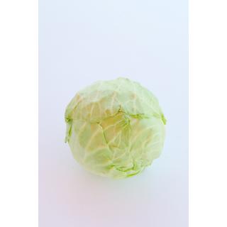 Weisskohl frisch
