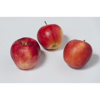 Apfel Gala