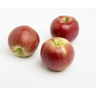 Apfel Mairac